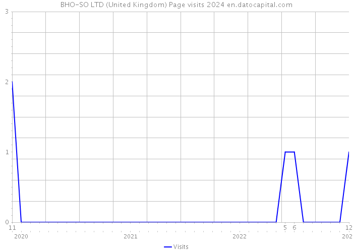 BHO-SO LTD (United Kingdom) Page visits 2024 