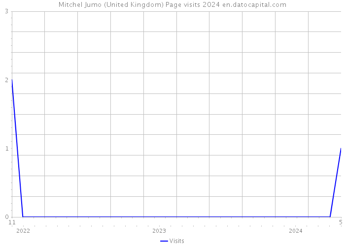 Mitchel Jumo (United Kingdom) Page visits 2024 