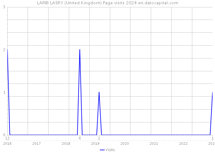 LARBI LASRY (United Kingdom) Page visits 2024 