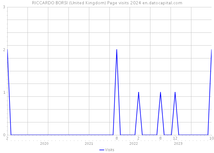 RICCARDO BORSI (United Kingdom) Page visits 2024 