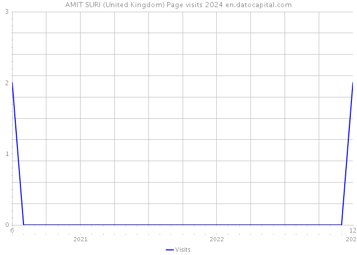 AMIT SURI (United Kingdom) Page visits 2024 