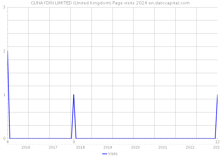 GUNAYDIN LIMITED (United Kingdom) Page visits 2024 