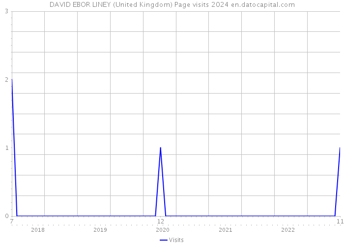 DAVID EBOR LINEY (United Kingdom) Page visits 2024 
