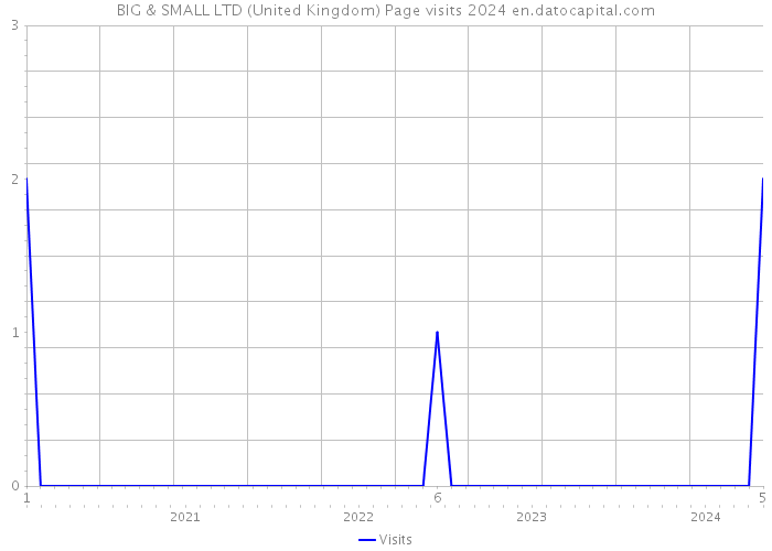 BIG & SMALL LTD (United Kingdom) Page visits 2024 
