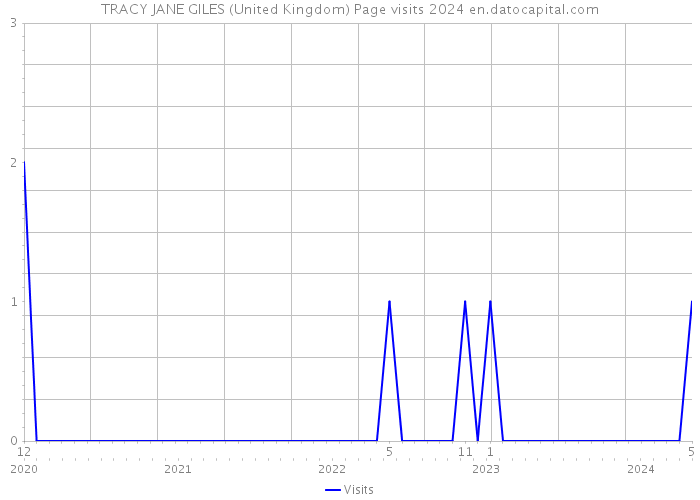 TRACY JANE GILES (United Kingdom) Page visits 2024 