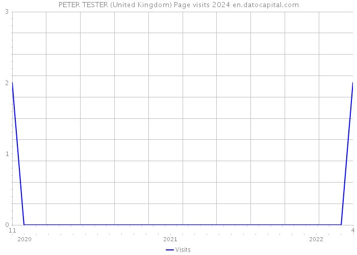 PETER TESTER (United Kingdom) Page visits 2024 