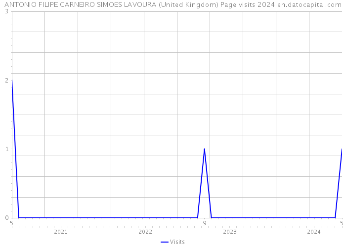 ANTONIO FILIPE CARNEIRO SIMOES LAVOURA (United Kingdom) Page visits 2024 