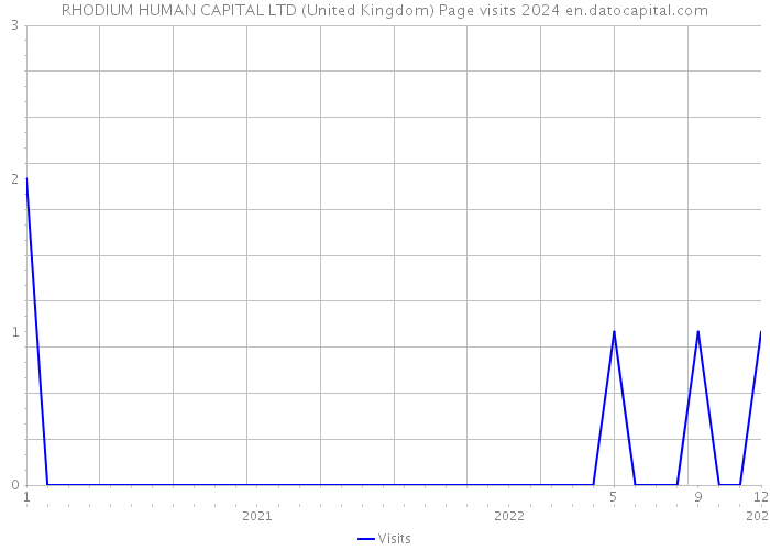 RHODIUM HUMAN CAPITAL LTD (United Kingdom) Page visits 2024 