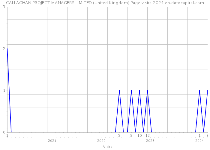 CALLAGHAN PROJECT MANAGERS LIMITED (United Kingdom) Page visits 2024 