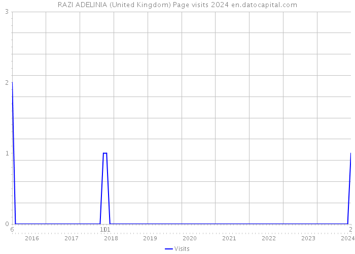 RAZI ADELINIA (United Kingdom) Page visits 2024 