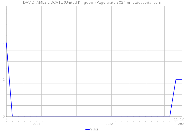 DAVID JAMES LIDGATE (United Kingdom) Page visits 2024 