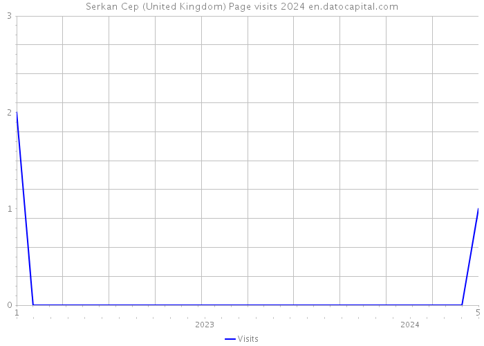 Serkan Cep (United Kingdom) Page visits 2024 