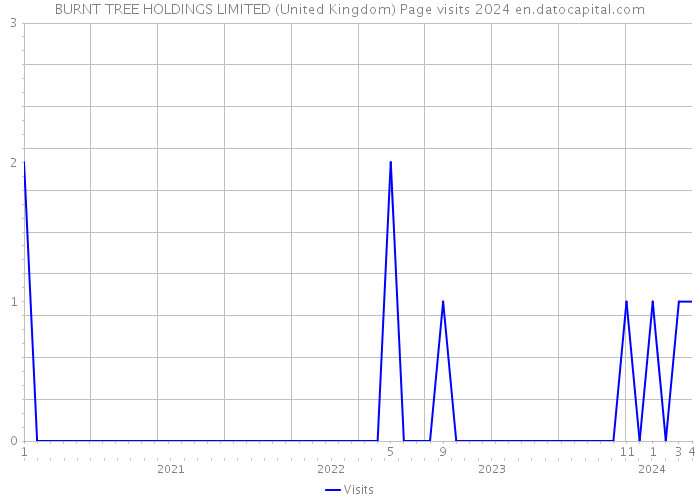 BURNT TREE HOLDINGS LIMITED (United Kingdom) Page visits 2024 