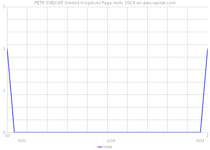 PETR SVEJCAR (United Kingdom) Page visits 2024 