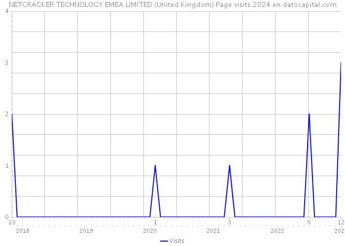 NETCRACKER TECHNOLOGY EMEA LIMITED (United Kingdom) Page visits 2024 