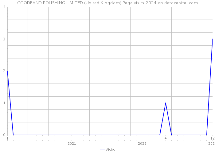 GOODBAND POLISHING LIMITED (United Kingdom) Page visits 2024 