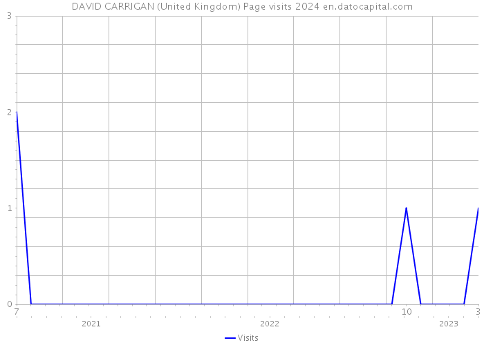 DAVID CARRIGAN (United Kingdom) Page visits 2024 