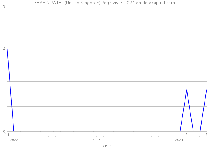 BHAVIN PATEL (United Kingdom) Page visits 2024 