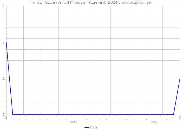 Hamza Tebani (United Kingdom) Page visits 2024 