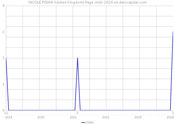 NICOLE PISANI (United Kingdom) Page visits 2024 