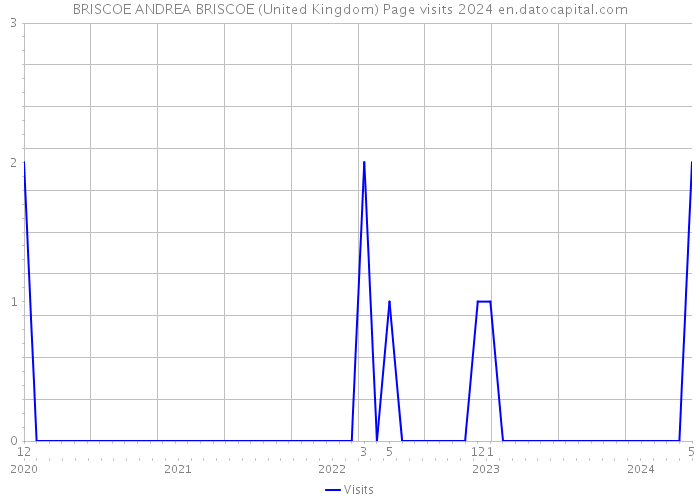 BRISCOE ANDREA BRISCOE (United Kingdom) Page visits 2024 