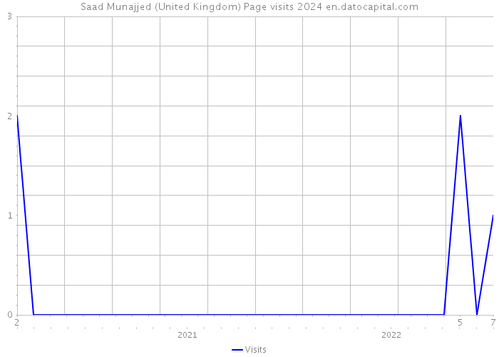 Saad Munajjed (United Kingdom) Page visits 2024 