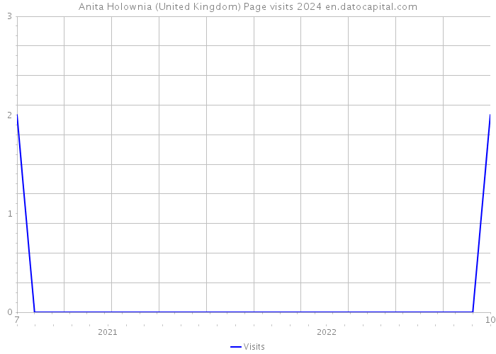Anita Holownia (United Kingdom) Page visits 2024 
