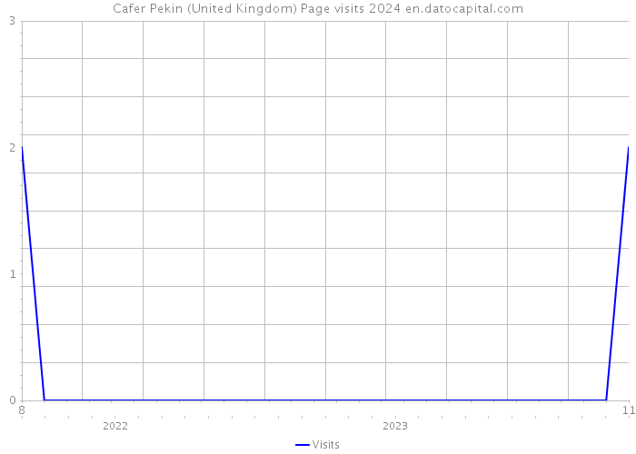 Cafer Pekin (United Kingdom) Page visits 2024 