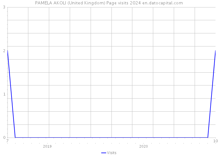 PAMELA AKOLI (United Kingdom) Page visits 2024 