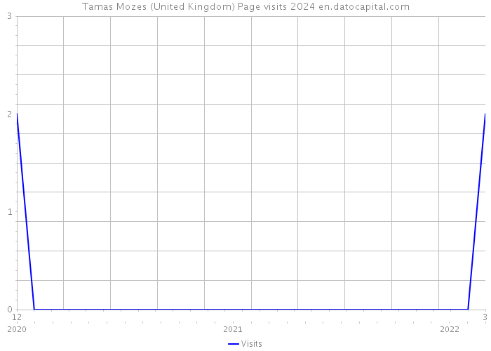 Tamas Mozes (United Kingdom) Page visits 2024 