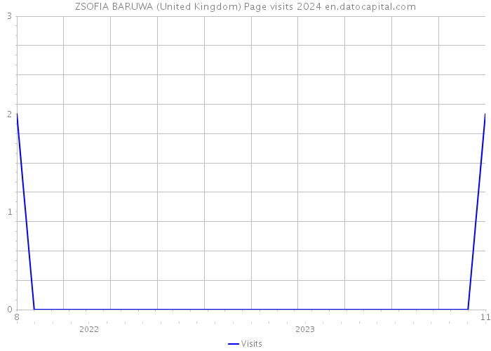 ZSOFIA BARUWA (United Kingdom) Page visits 2024 