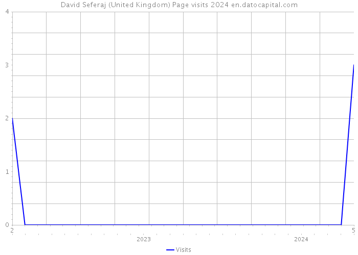 David Seferaj (United Kingdom) Page visits 2024 