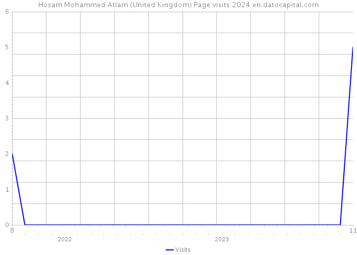 Hosam Mohammed Atlam (United Kingdom) Page visits 2024 