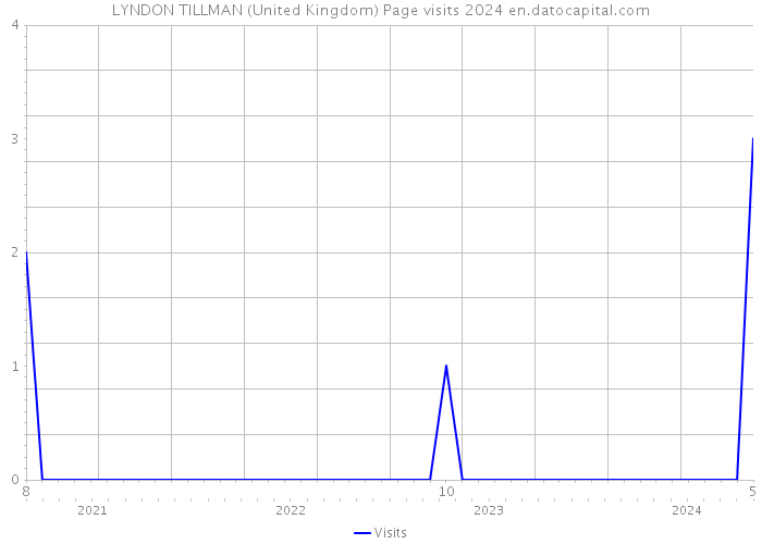 LYNDON TILLMAN (United Kingdom) Page visits 2024 