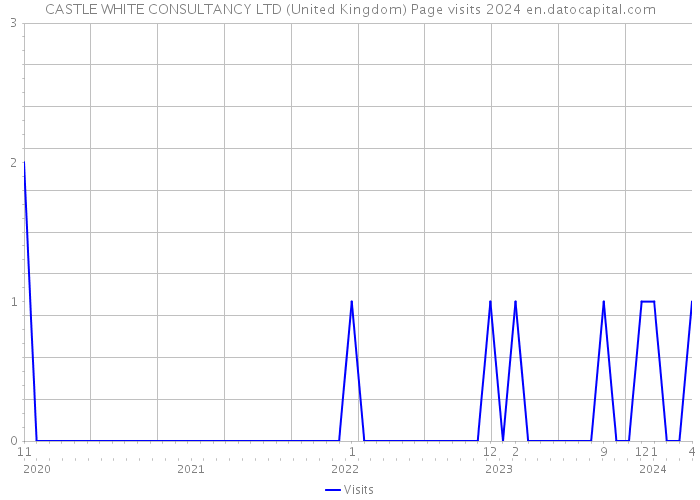 CASTLE WHITE CONSULTANCY LTD (United Kingdom) Page visits 2024 