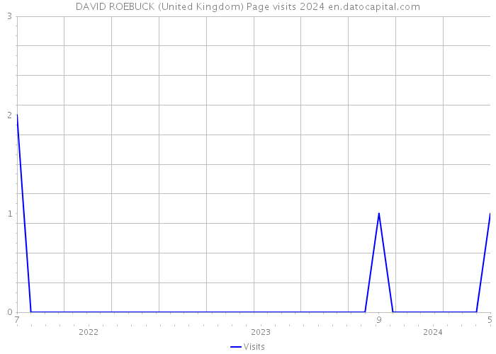 DAVID ROEBUCK (United Kingdom) Page visits 2024 