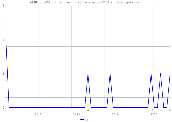 AMIN BEDRA (United Kingdom) Page visits 2024 