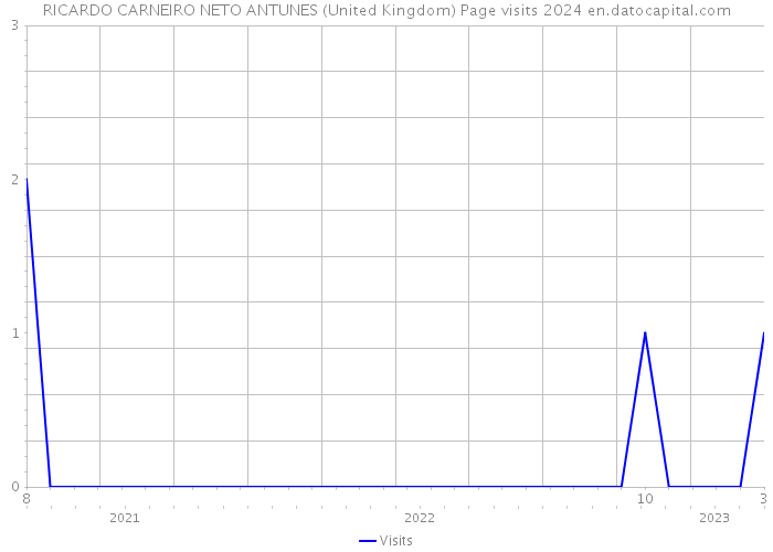 RICARDO CARNEIRO NETO ANTUNES (United Kingdom) Page visits 2024 