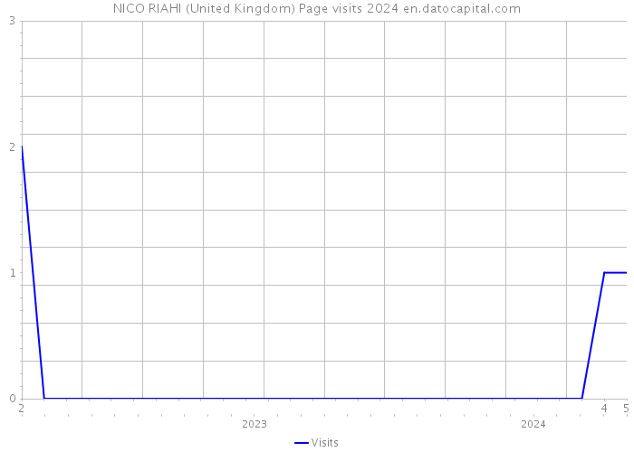 NICO RIAHI (United Kingdom) Page visits 2024 