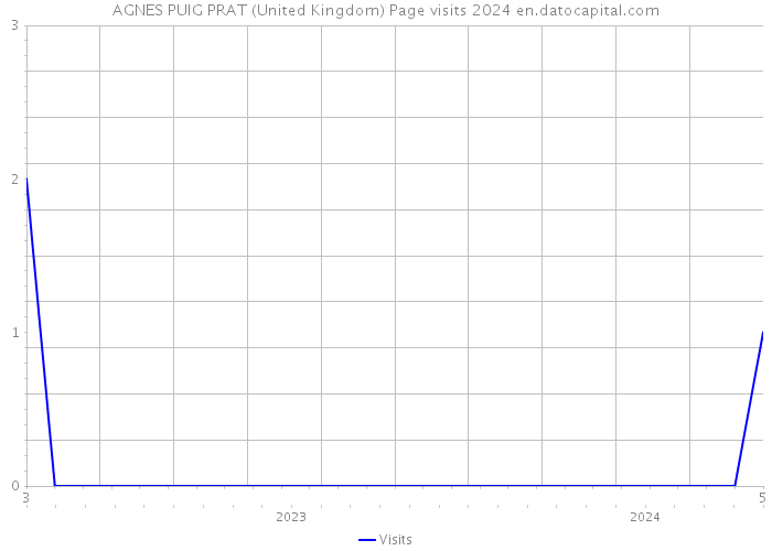 AGNES PUIG PRAT (United Kingdom) Page visits 2024 