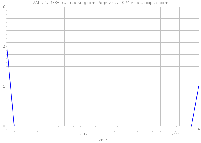 AMIR KURESHI (United Kingdom) Page visits 2024 