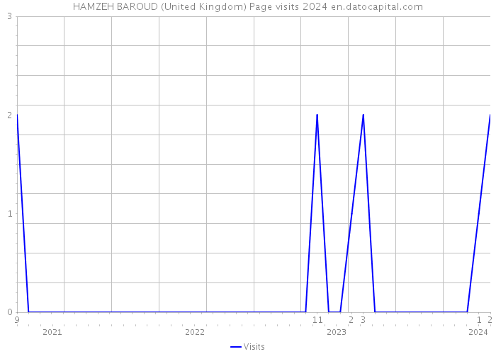 HAMZEH BAROUD (United Kingdom) Page visits 2024 