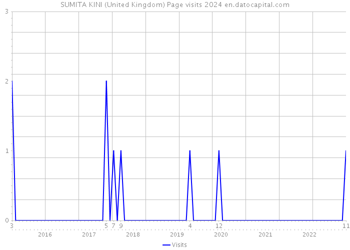 SUMITA KINI (United Kingdom) Page visits 2024 