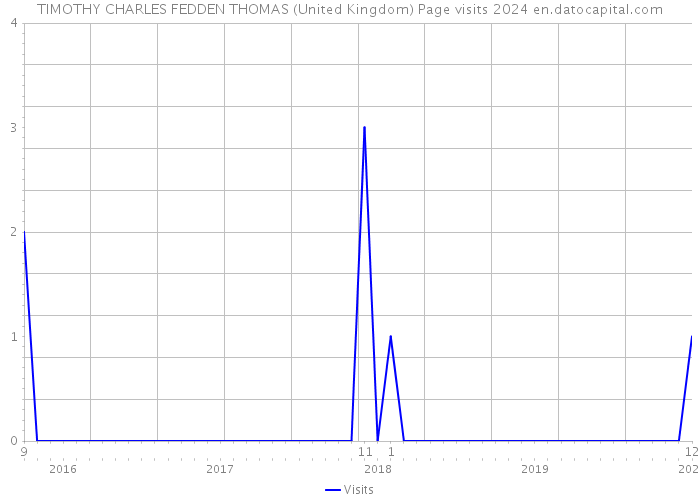 TIMOTHY CHARLES FEDDEN THOMAS (United Kingdom) Page visits 2024 