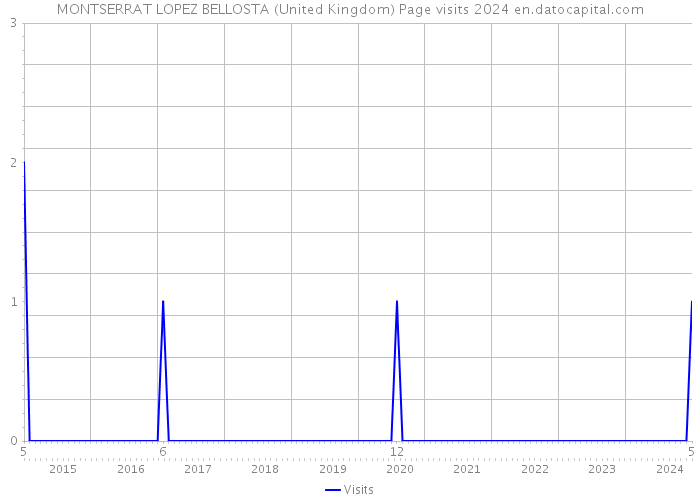 MONTSERRAT LOPEZ BELLOSTA (United Kingdom) Page visits 2024 