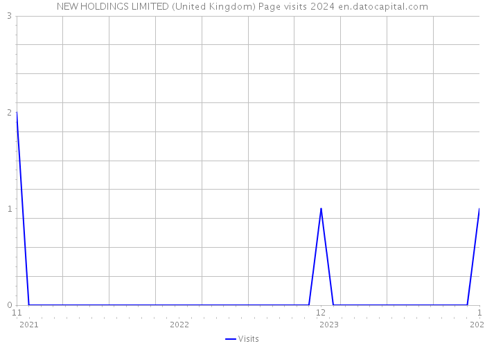 NEW HOLDINGS LIMITED (United Kingdom) Page visits 2024 