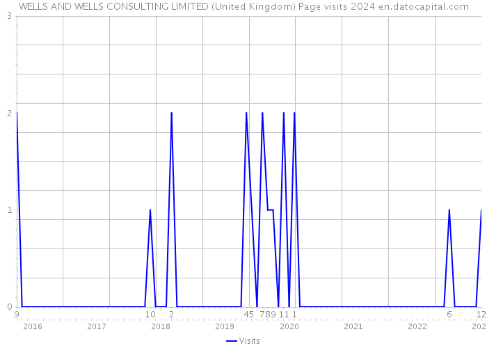 WELLS AND WELLS CONSULTING LIMITED (United Kingdom) Page visits 2024 