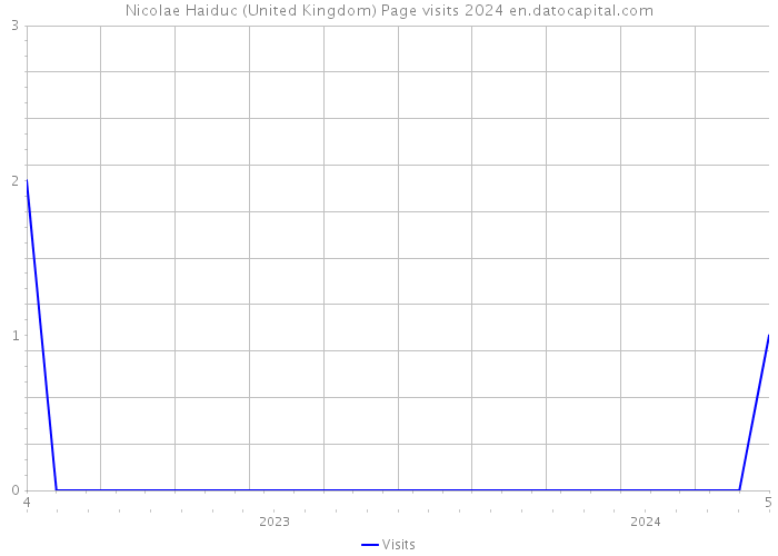 Nicolae Haiduc (United Kingdom) Page visits 2024 