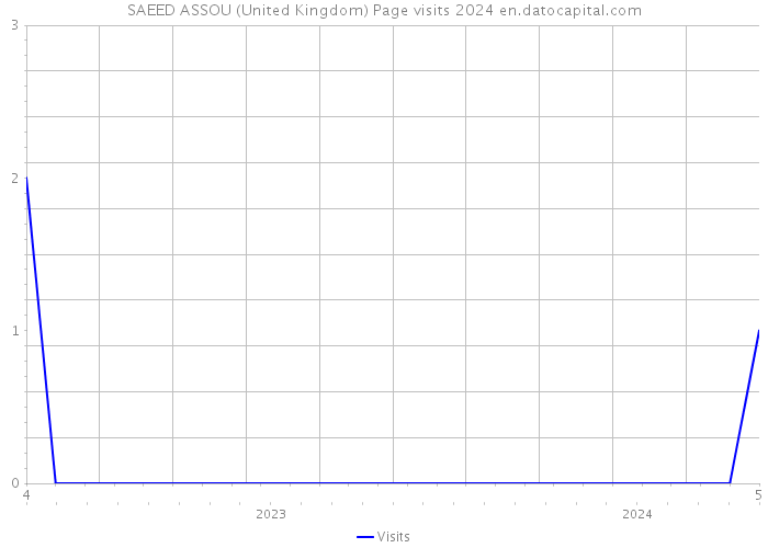 SAEED ASSOU (United Kingdom) Page visits 2024 