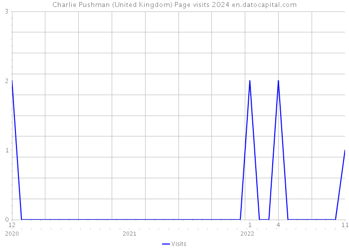 Charlie Pushman (United Kingdom) Page visits 2024 